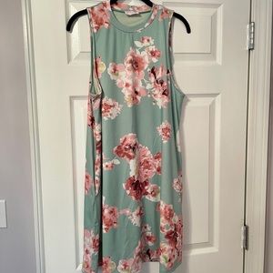 NWOT Pink Lily Floral Swing Dress